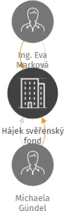 Hájek svěřenský fond, IČO: 14157322: vizualizace vztahů osob a společností