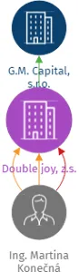 Double joy, z.s., IČO: 14104164: vizualizace vztahů osob a společností