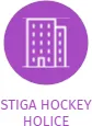 STIGA HOCKEY HOLICE, IČO: 15051480: vizualizace vztahů osob a společností