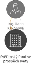 Svěřenský fond ve prospěch Ivety, IČO: 17334420: vizualizace vztahů osob a společností