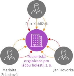 Pacientská organizace pro léčbu bolesti, z. s., IČO: 17325081: vizualizace vztahů osob a společností