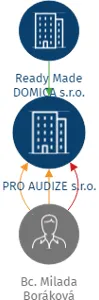 PRO AUDIZE s.r.o., IČO: 17521386: vizualizace vztahů osob a společností