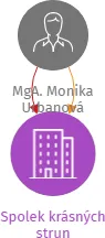 Spolek krásných strun, IČO: 17559065: vizualizace vztahů osob a společností