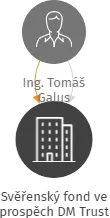 Svěřenský fond ve prospěch DM Trust, IČO: 17947871: vizualizace vztahů osob a společností