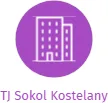 TJ Sokol Kostelany, IČO: 18189628: vizualizace vztahů osob a společností