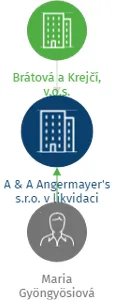 A & A Angermayer's  s.r.o. v likvidaci, IČO: 18251374: vizualizace vztahů osob a společností
