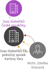 Svaz diabetiků ČR, pobočný spolek Karlovy Vary, IČO: 18228887: vizualizace vztahů osob a společností