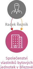 Společenství vlastníků bytových jednotek v Březové nad Svitavou, Luční 291, IČO: 19159277: vizualizace vztahů osob a společností