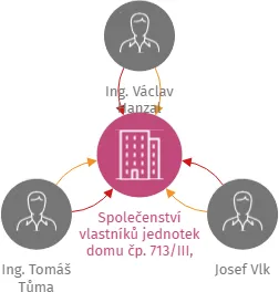 Společenství vlastníků jednotek domu čp. 713/III, Jindřichův Hradec, IČO: 19172184: vizualizace vztahů osob a společností