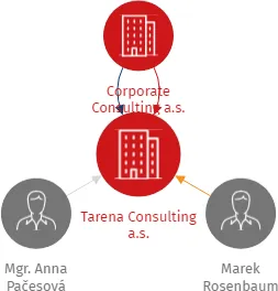 Tarena Consulting a.s., IČO: 19572034: vizualizace vztahů osob a společností