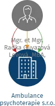 Ambulance psychoterapie s.r.o., IČO: 19941005: vizualizace vztahů osob a společností