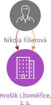 Hrošík Litoměřice, z. s., IČO: 21090238: vizualizace vztahů osob a společností