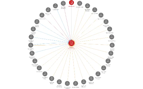 Metrostav Concessions a.s., IČO: 21702462: vizualizace vztahů osob a společností