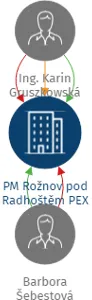 PM Rožnov pod Radhoštěm PEX s.r.o., IČO: 21720126: vizualizace vztahů osob a společností