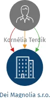 Dei Magnolia s.r.o., IČO: 21881936: vizualizace vztahů osob a společností
