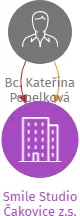 Smile Studio Čakovice z.s., IČO: 21908354: vizualizace vztahů osob a společností