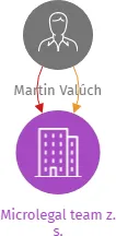 Microlegal team z. s., IČO: 22054189: vizualizace vztahů osob a společností
