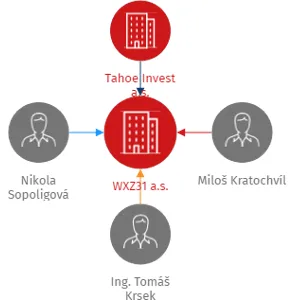 WXZ31 a.s., IČO: 22083235: vizualizace vztahů osob a společností