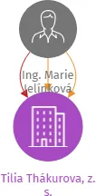 Tilia Thákurova, z. s., IČO: 22722335: vizualizace vztahů osob a společností