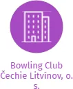 Bowling Club Čechie Litvínov, o. s., IČO: 22720979: vizualizace vztahů osob a společností
