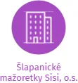 Šlapanické mažoretky Sisi, o.s., IČO: 22771450: vizualizace vztahů osob a společností