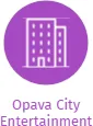 Opava City Entertainment, IČO: 22766332: vizualizace vztahů osob a společností