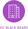 HC BLACK BEARS, IČO: 22707611: vizualizace vztahů osob a společností