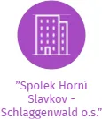 ”Spolek Horní Slavkov - Schlaggenwald o.s.”, IČO: 22708456: vizualizace vztahů osob a společností