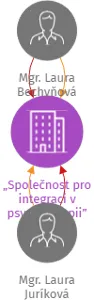 „Společnost pro integraci v psychoterapii”, IČO: 22828231: vizualizace vztahů osob a společností