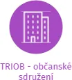 TRIOB - občanské sdružení, IČO: 22829431: vizualizace vztahů osob a společností