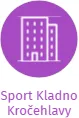 Sport Kladno Kročehlavy, IČO: 22875026: vizualizace vztahů osob a společností