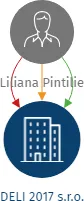 DELI 2017 s.r.o., IČO: 23641789: vizualizace vztahů osob a společností