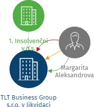TLT Business Group s.r.o. v likvidaci, IČO: 24124702: vizualizace vztahů osob a společností
