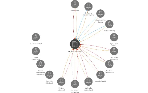 NALA nadační fond, IČO: 24199869: vizualizace vztahů osob a společností