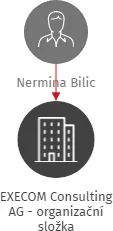 EXECOM Consulting AG - organizační složka, IČO: 24205940: vizualizace vztahů osob a společností