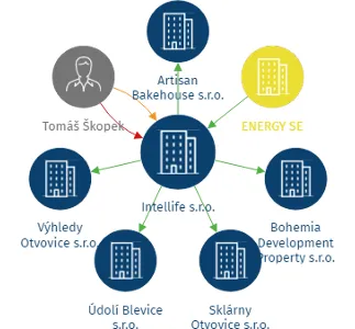 Intellife s.r.o., IČO: 24220671: vizualizace vztahů osob a společností