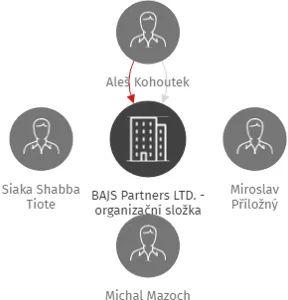 BAJS Partners LTD. - organizační složka, IČO: 24246531: vizualizace vztahů osob a společností