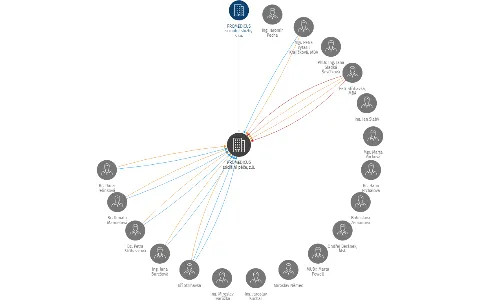 PROMEDICUS sociální péče, z.ú., IČO: 24312355: vizualizace vztahů osob a společností