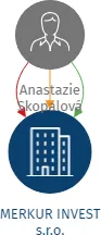 MERKUR INVEST s.r.o., IČO: 25035525: vizualizace vztahů osob a společností