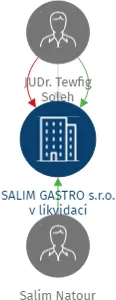 SALIM GASTRO s.r.o. v likvidaci, IČO: 25217445: vizualizace vztahů osob a společností