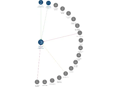 Honeywell Aerospace Olomouc s.r.o., IČO: 25384961: vizualizace vztahů osob a společností