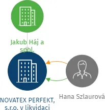 NOVATEX PERFEKT, s.r.o. v likvidaci, IČO: 25329464: vizualizace vztahů osob a společností