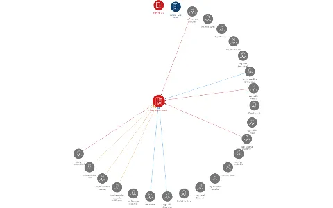 ICEC-HOLDING, a.s., IČO: 25357484: vizualizace vztahů osob a společností