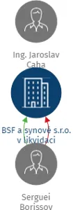 BSF a synové s.r.o. v likvidaci, IČO: 25311131: vizualizace vztahů osob a společností