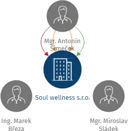 Vizualizace vztahů osob a společností - Soul wellness s.r.o.