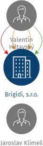 Brigidi, s.r.o., IČO: 25334824: vizualizace vztahů osob a společností