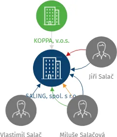 SALING, spol. s r.o., IČO: 25428381: vizualizace vztahů osob a společností