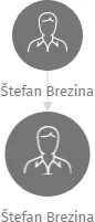 Štefan Brezina, IČO: 25438077: vizualizace vztahů osob a společností