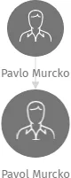 Pavol Murcko, IČO: 25472283: vizualizace vztahů osob a společností