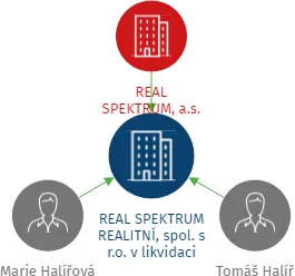 REAL SPEKTRUM REALITNÍ, spol. s r.o. v likvidaci, IČO: 25536150: vizualizace vztahů osob a společností